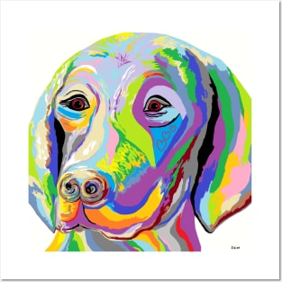 Colorful Weimaraner Posters and Art